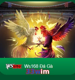 33wim